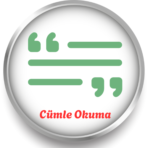 Cümle Okuma