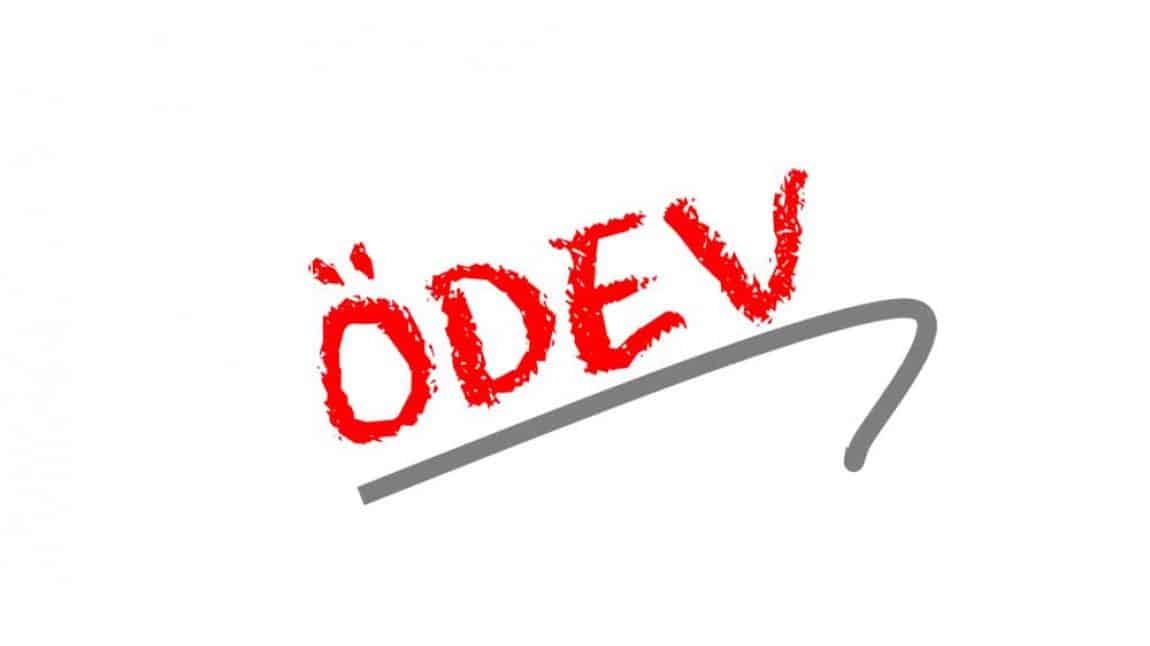 4. Sınıf Haftalık Ödev 29. Hafta